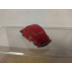 VOLKSWAGEN BEETLE RED 1:87 H0 EKO NO BOX