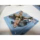 AIRCRAFT AVIONES P-40 DEWOITINE D.520 ITALERI 1:100