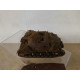STURMPANZER IV BRUMMBAR WW 2 1:72 KIT/DIECAST ? NO BOX DESGUACE/SUCIO