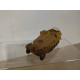 Sd.kfz.251 GERMANY WW 2 1:72 KIT/DIECAST ? NO BOX DESGUACE/SUCIO