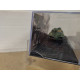 PANHARD EBR-75 FL11 1957 ALGERIA 1er REC LEGION ETRANGERE 1:72 ALTAYA IXO