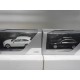 AUDI A4 B9 AVANT WHITE, GREY SPARK DEALER 1:43