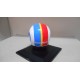 CASCO/HELMET FORMULA F1 1973 FRANÇOIS CEVERT (TYRRELL) 1:5 SPARK EDITIONS