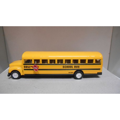 AUTOBUS SCHOOL BUS USA SUNNYSIDE SS